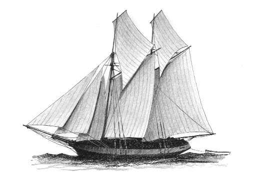 FIN - Skuta del Baltico